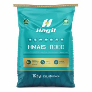 HMAIS H1000
