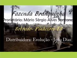 Homeopatia Hágil - Fazenda Branquinha - Sobrado - Pinheiros / ES