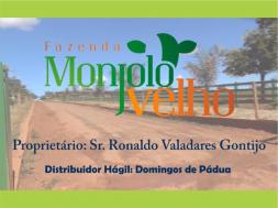 Homeopatia Hágil - Fazenda Monjolo Velho - Martinho Campos / MG