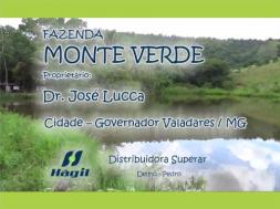 Homeopatia Hágil - Fazenda Monte Verde - Governador Valadares / MG