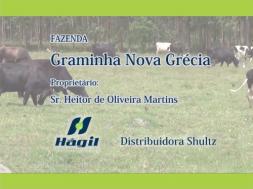 Homeopatia Hágil - Fazenda Graminha Nova Grécia - Espera Feliz / MG